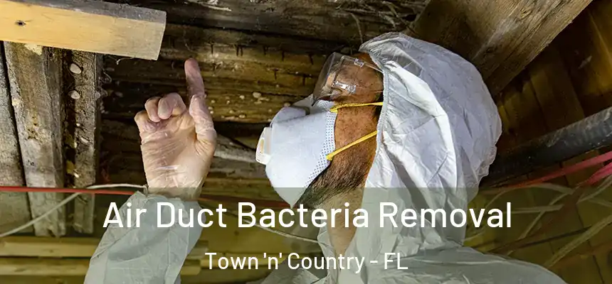 Air Duct Bacteria Removal Town 'n' Country - FL