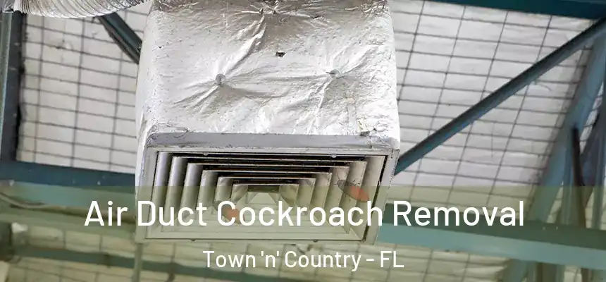 Air Duct Cockroach Removal Town 'n' Country - FL