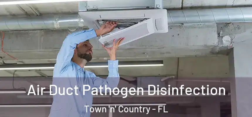 Air Duct Pathogen Disinfection Town 'n' Country - FL