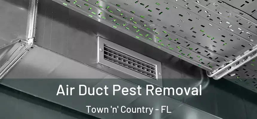  Air Duct Pest Removal Town 'n' Country - FL