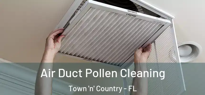 Air Duct Pollen Cleaning Town 'n' Country - FL