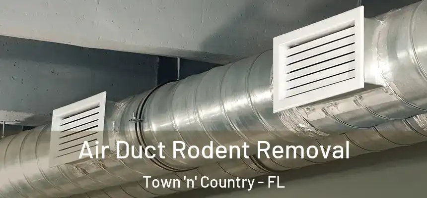  Air Duct Rodent Removal Town 'n' Country - FL