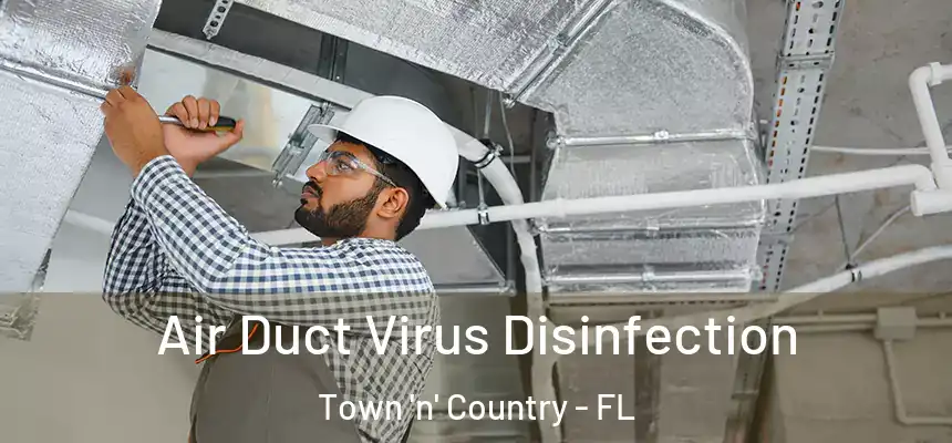 Air Duct Virus Disinfection Town 'n' Country - FL