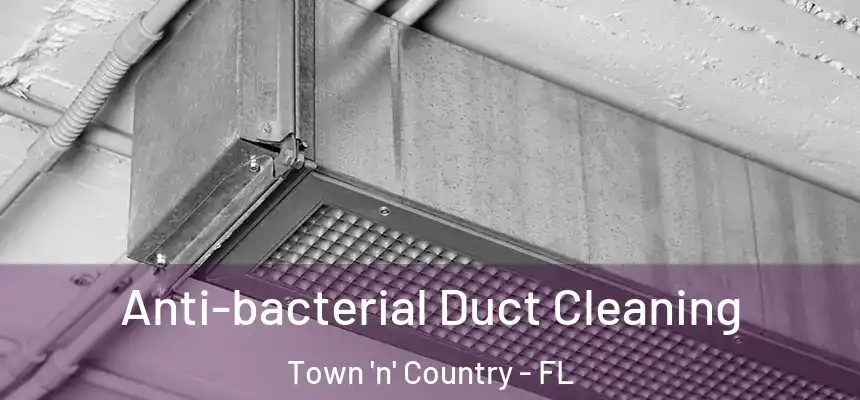 Anti-bacterial Duct Cleaning Town 'n' Country - FL