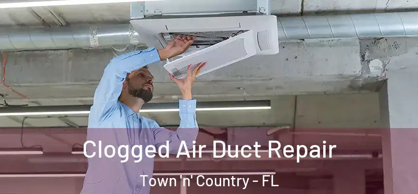  Clogged Air Duct Repair Town 'n' Country - FL