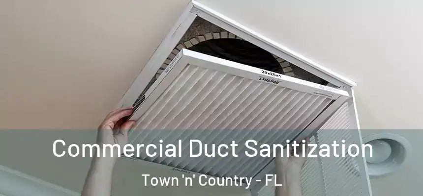 Commercial Duct Sanitization Town 'n' Country - FL