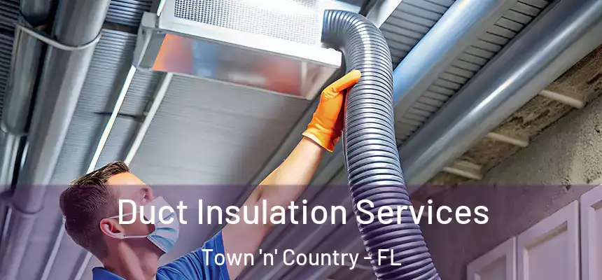 Duct Insulation Services Town 'n' Country - FL