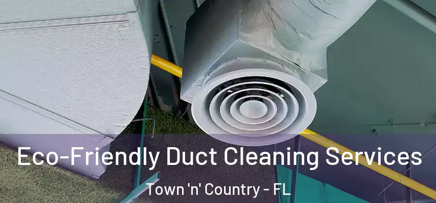Eco-Friendly Duct Cleaning Services Town 'n' Country - FL