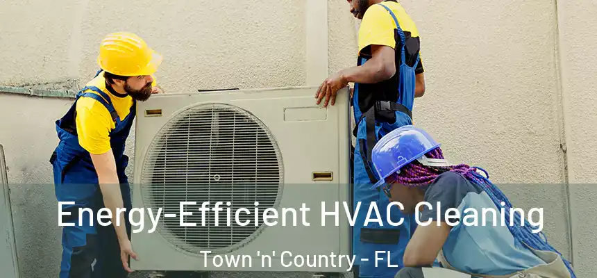 Energy-Efficient HVAC Cleaning Town 'n' Country - FL