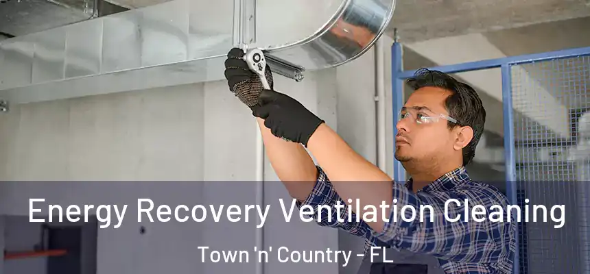 Energy Recovery Ventilation Cleaning Town 'n' Country - FL