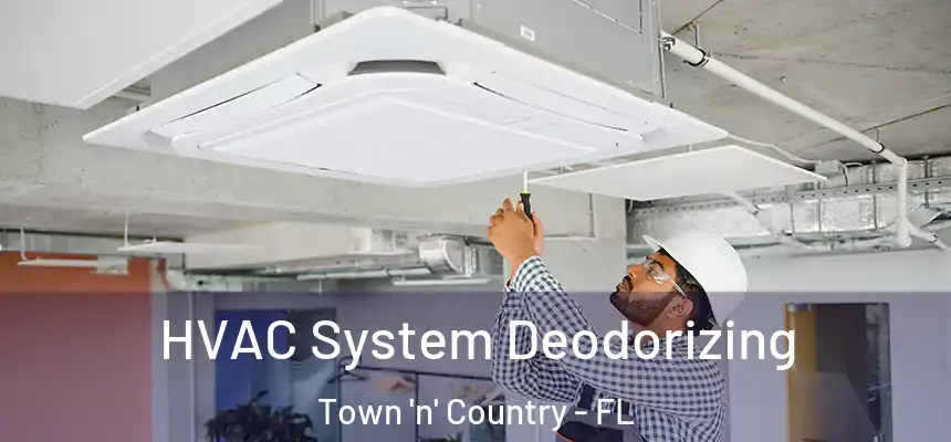 HVAC System Deodorizing Town 'n' Country - FL