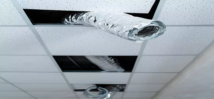 Affordable HVAC Sanitizing After Pest Removal in Town 'n' Country