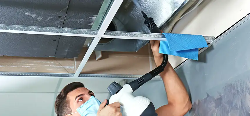 Our Air Duct Rodent Removal Services in Town 'n' Country, FL