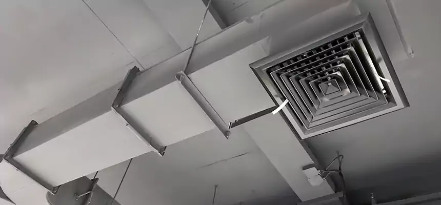 Restorative Allergy Relief Vent Cleaning – Coil, Blower & Housing Detail in Town 'n' Country