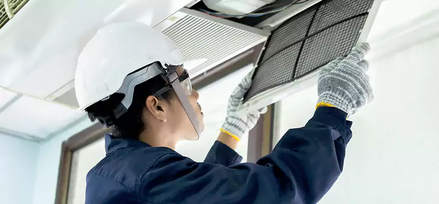 Our Mold & Mildew Removal from Air Ducts Services in Town 'n' Country, FL