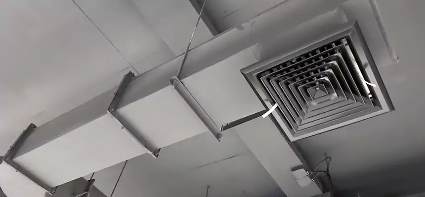 Our Pest Removal From Ducts Services in Town 'n' Country, FL