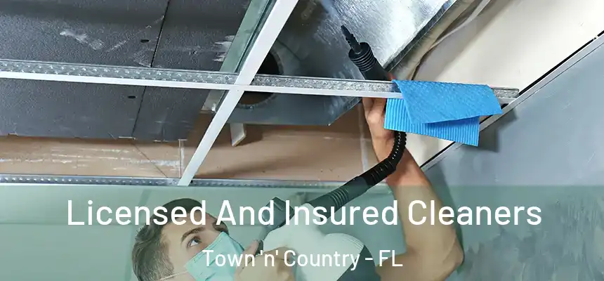 Licensed And Insured Cleaners Town 'n' Country - FL