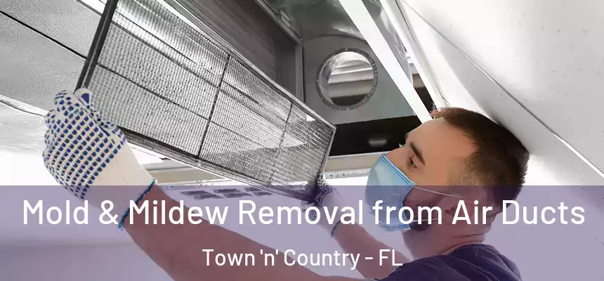 Mold & Mildew Removal from Air Ducts Town 'n' Country - FL