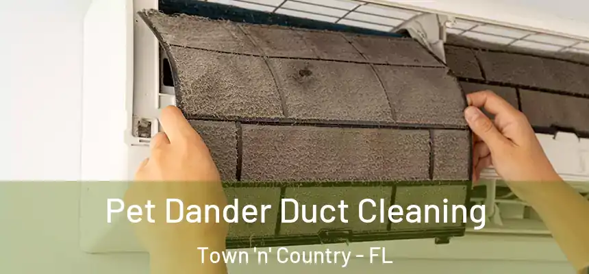 Pet Dander Duct Cleaning Town 'n' Country - FL