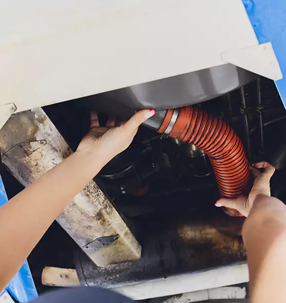 About Air Duct Virus Disinfection in Town 'n' Country, FL