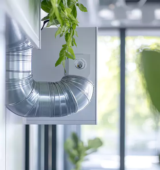 Professional Eco-Safe Dryer Vent Cleaning in Town 'n' Country, FL