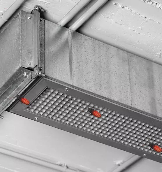 Affordable Insect Removal from Air Ducts in Town 'n' Country, FL