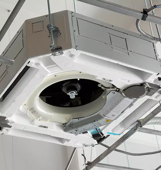 Professional Roof Vent Lint Removal Town 'n' Country, FL