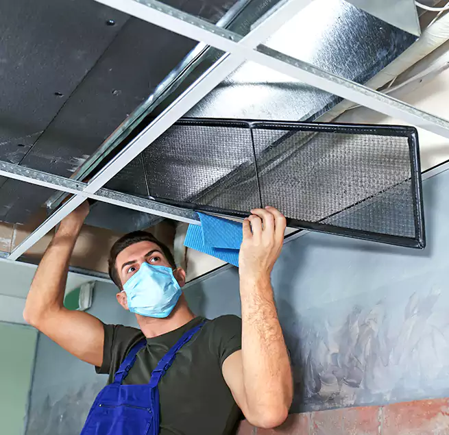 Why Homeowners Businesses Trust Us in Town 'n' Country, FL