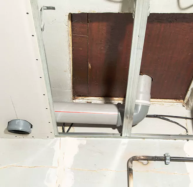 Why Homeowners & Businesses Trust Us in Town 'n' Country, FL?