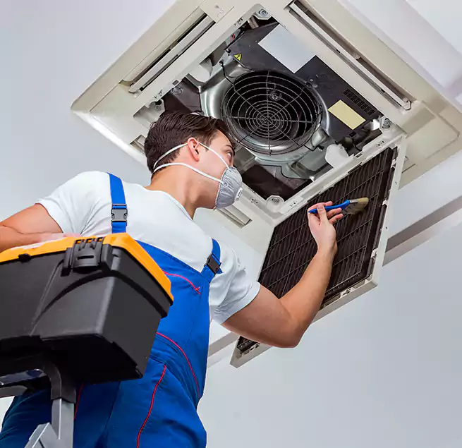 Why Homeowners & Businesses Trust Us in Town 'n' Country, FL