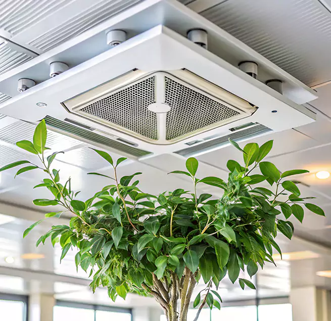 Why Homeowners & Businesses Trust Us in Town 'n' Country, FL