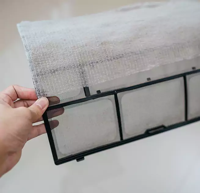 Why Homeowners & Businesses Trust Us in Town 'n' Country, FL?