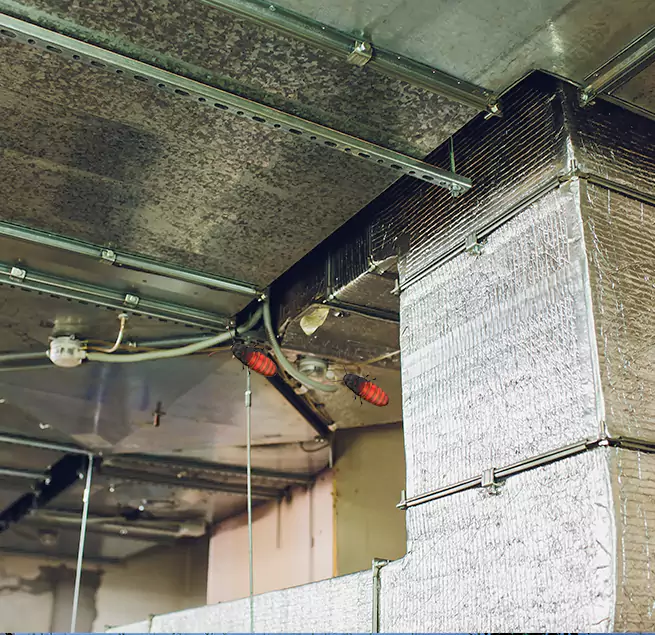 Why Homeowners & Businesses Trust Us Town 'n' Country, FL?